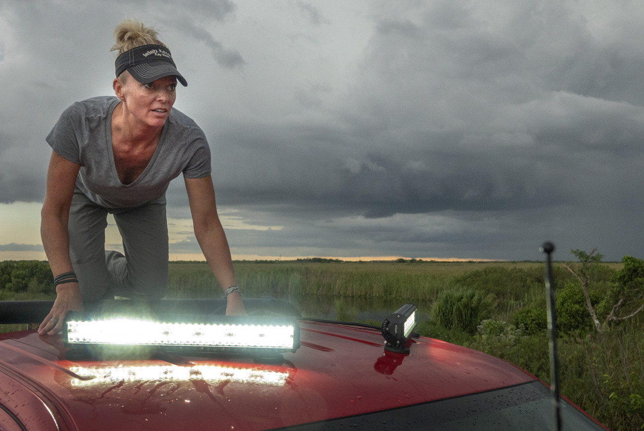 Miami, 2020. augusztus 12.
A 2020. augusztus 12-én közreadott képen Amy Siewe kígyóvadász felkapcsolja a lámpát, ami segít, hogy megfogja a szalagos tigrispitonokat (Python bivittatus) az Everglades Nemzeti Parkban a Florida állambeli Miamiban augusztus 10-én. Dél-Floridában több kígyóvadászt is keresnek, mert az invázív pitonok felborítják az állam ökoszisztémáját.
MTI/EPA