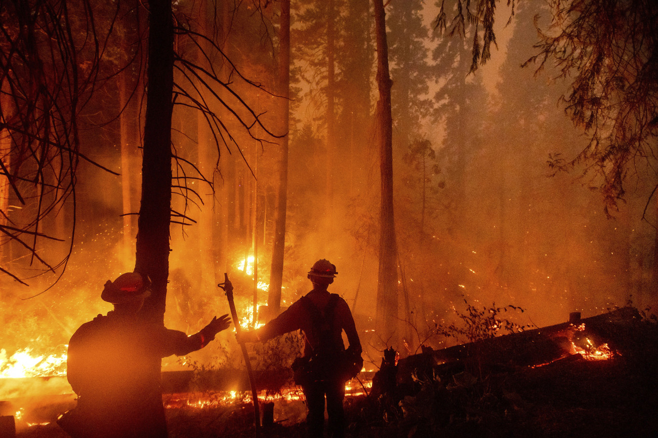Shaver Lake, 2020. szeptember 8.
Erdőtűz pusztít a kaliforniai Shaver Lake közelében 2020. szeptember 7-én este. A hatóságok felhívták a lakosság figyelmét a szárazság miatti nagyfokú tűzveszélyre Kaliforniában, ahol már több hete pusztítanak erdőtüzek.
MTI/AP/Noah Berger