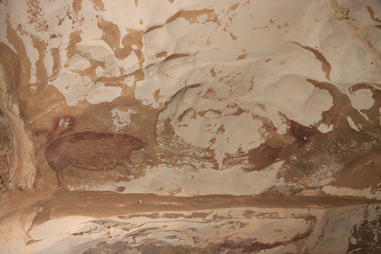 Leang Tedongnge barlang, 2021. január 14.
Az ausztráliai Griffith Egyetem által 2021. január 14-én közreadott kép egy vaddisznót és két kézlenyomatot ábrázoló barlangrajzról a Celebesz szigetén fekvő Leang Tedongnge barlangban. A régészek által 45 ezer évesre becsült, sötétvörös és okker színekkel készített alkotás a világ eddig felfedezett legősibb barlangi állatfestménye.
MTI/EPA/Griffith Egyetem/Adam Brumm