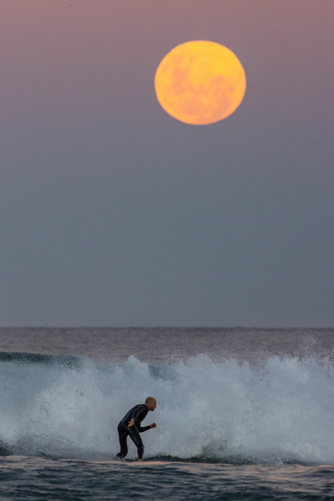 SYDNEY, AUSTRALIA - MAY 26: A surfer rides a wave as a super blood moon rises above the horizon at Manly Beach on May 26, 2021 in Sydney, Australia. It is the first total lunar eclipse in more than two years, which coincides with a supermoon.  A super moon is a name given to a full (or new) moon that occurs when the moon is in perigee - or closest to the earth - and it is the moon's proximity to earth that results in its brighter and bigger appearance. (Photo by Cameron Spencer/Getty Images)