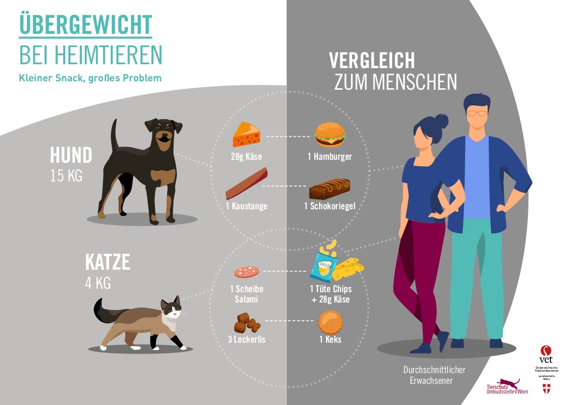 Óvatosan a jutalomfalatokkal! © Tierschutzombudsstelle Wien