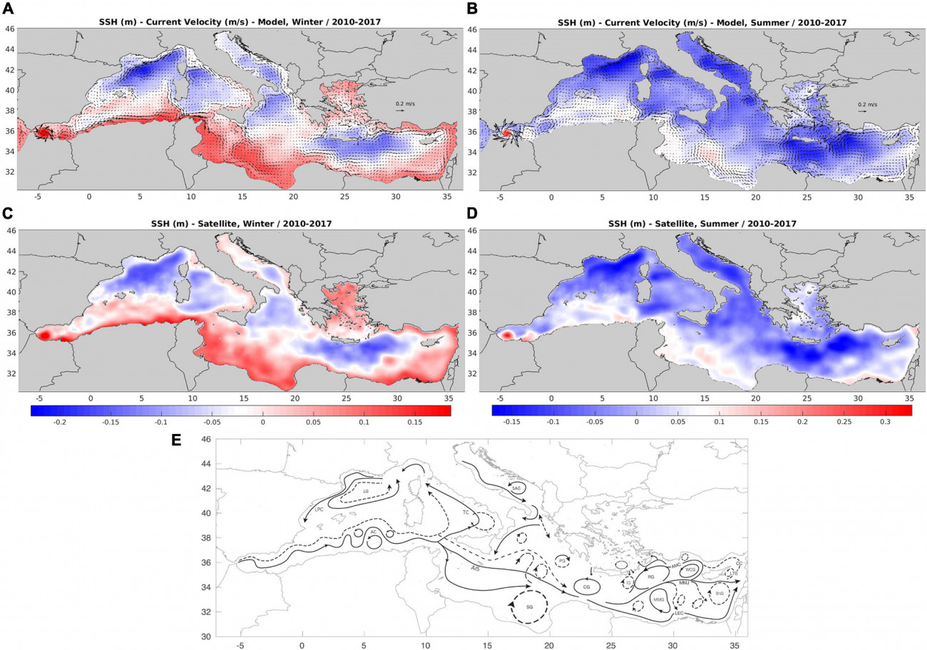 A 2010–2017 közötti, átlagos, modellszimulált téli (A) és nyári (C) átlagos felszíni áramlási sebesség és tengerszint feletti magasság (m), szemben a téli (B) és nyári (C) műholdas tengerfelszíni magassággal. Alul a mediterrán felszíni keringés vázlatos rajza (folyamatos vonal = tél, szaggatott vonal = nyár) a korábbi megfigyelésekből és modellezési tanulmányokból összeállítva.