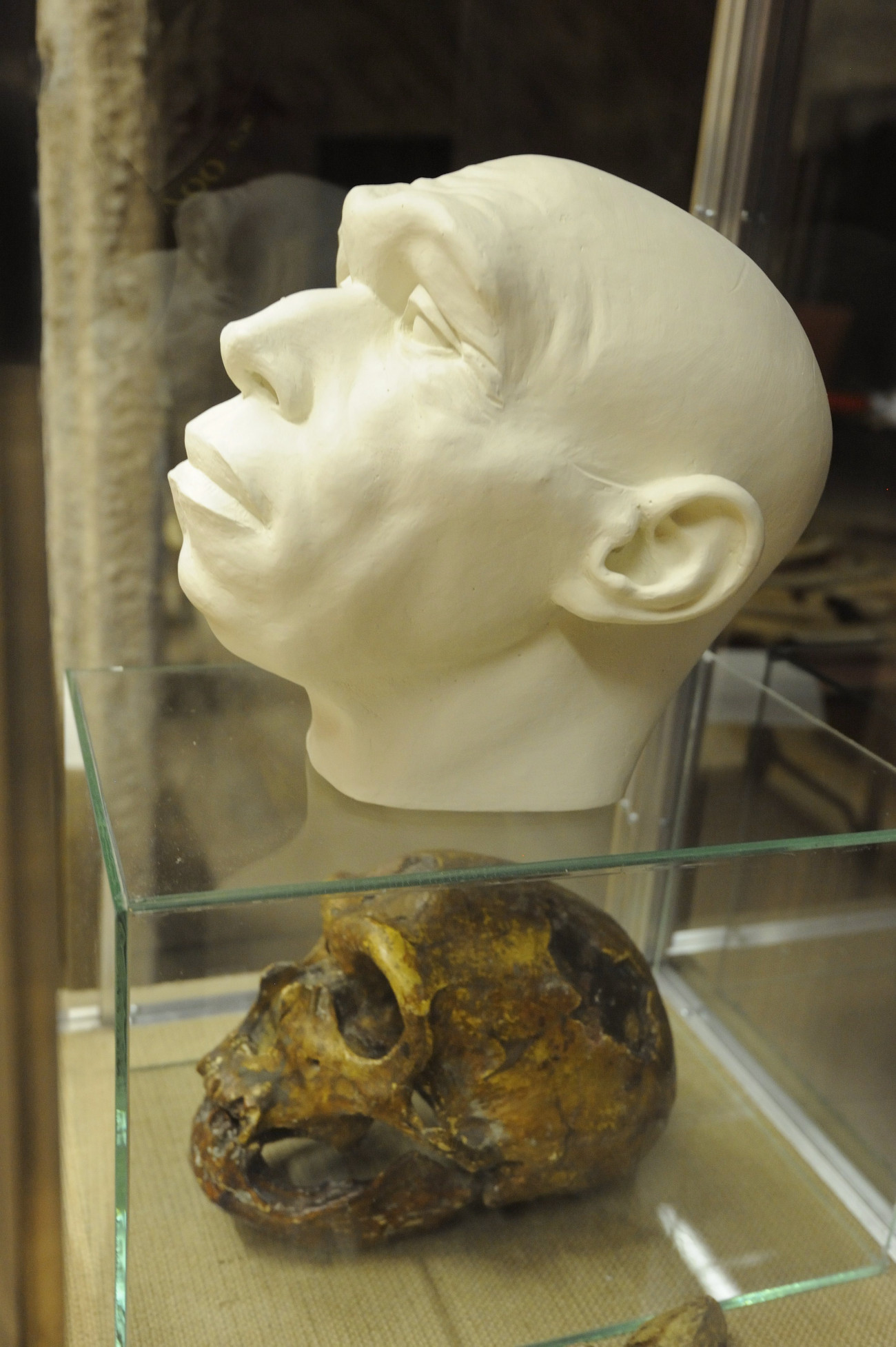 Szeged, 2013. április 30.
Egy neandervölgyi ősember arcrekonstrukciója és koponyamásolata a szegedi Móra Ferenc Múzeumban 2013. április 30-án. A múzeumban Egyszer volt az ősember címmel nyílik kiállítás 2013. május 2-án.
MTI Fotó: Kelemen Zoltán Gergely