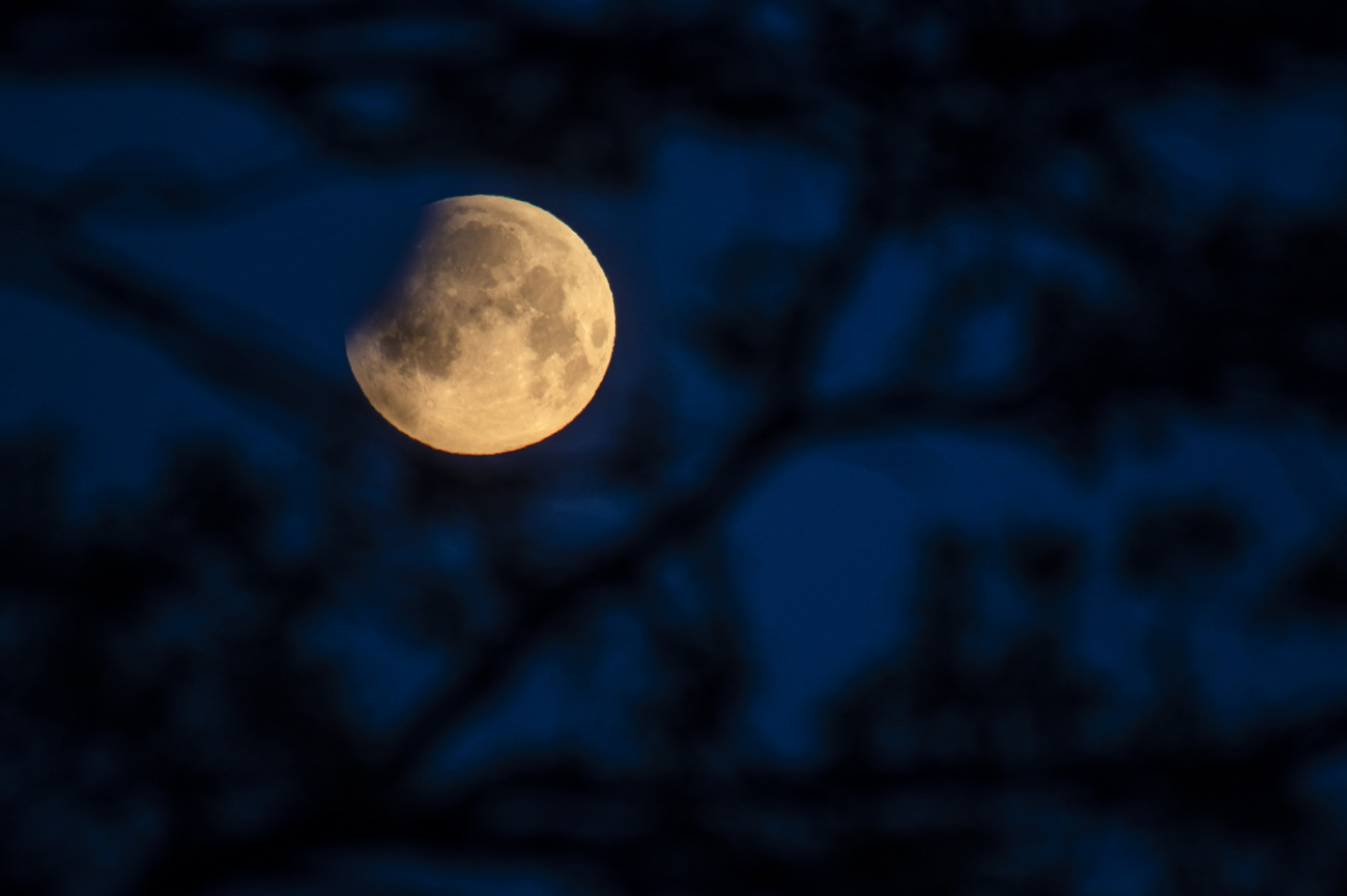 Salgótarján, 2022. május 16.
Holdfogyatkozás látszik egy fa ágai között Salgótarján közeléből fotózva 2022. május 16-án hajnalban.
MTI/Komka Péter