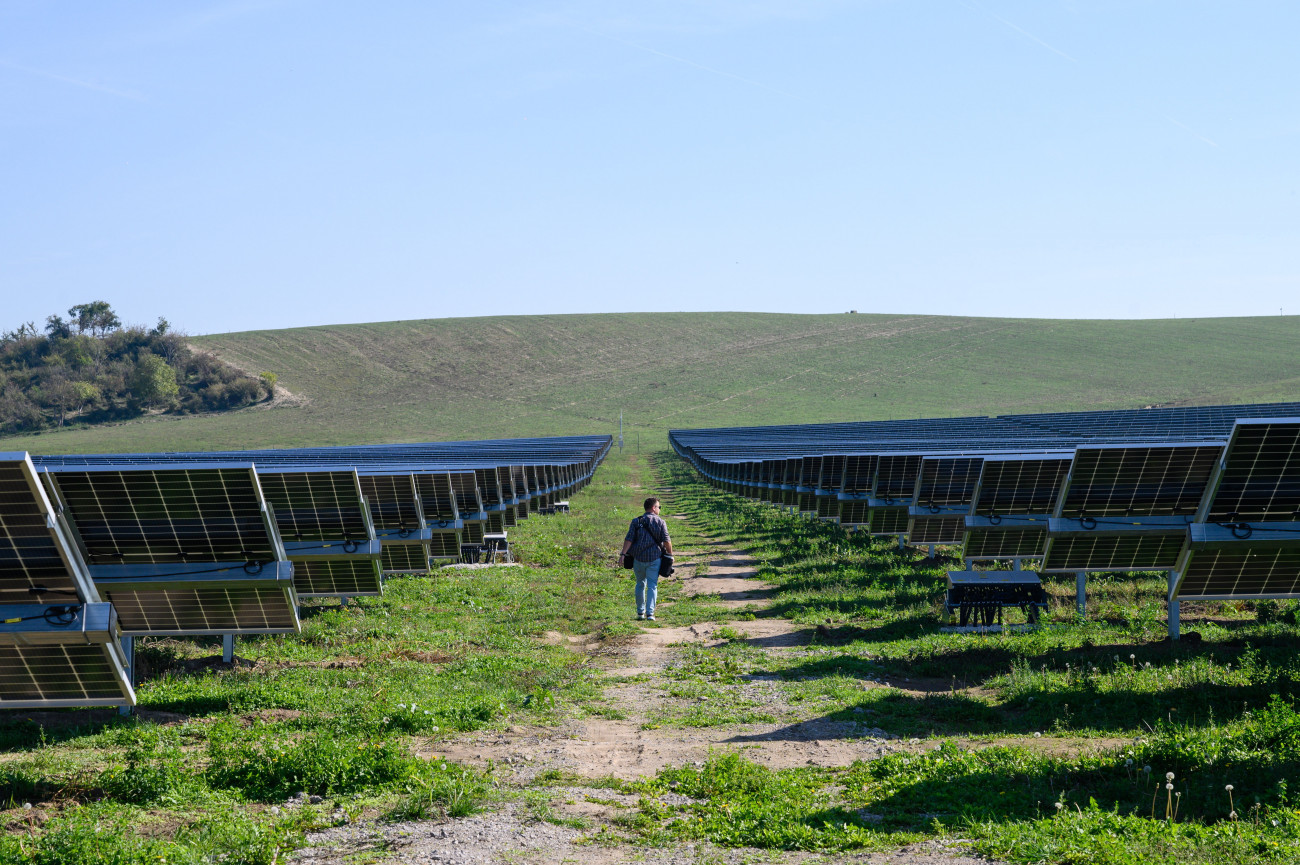 Paks, 2022. október 7.
A Greenergy-csoport tízmillió eurós beruházással megépült, tíz megawatt teljesítményű naperőműve, a Paksi Solar Park az átadás napján, 2022. október 7-én.
MTI/Vasvári Tamás