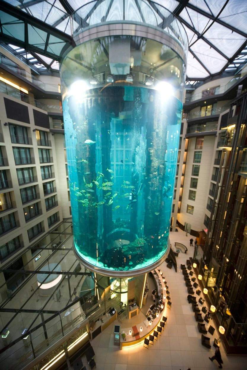 Amikor még állt az AquaDom nevű egymillió literes akvárium Berlinben. Fotó: Twitter