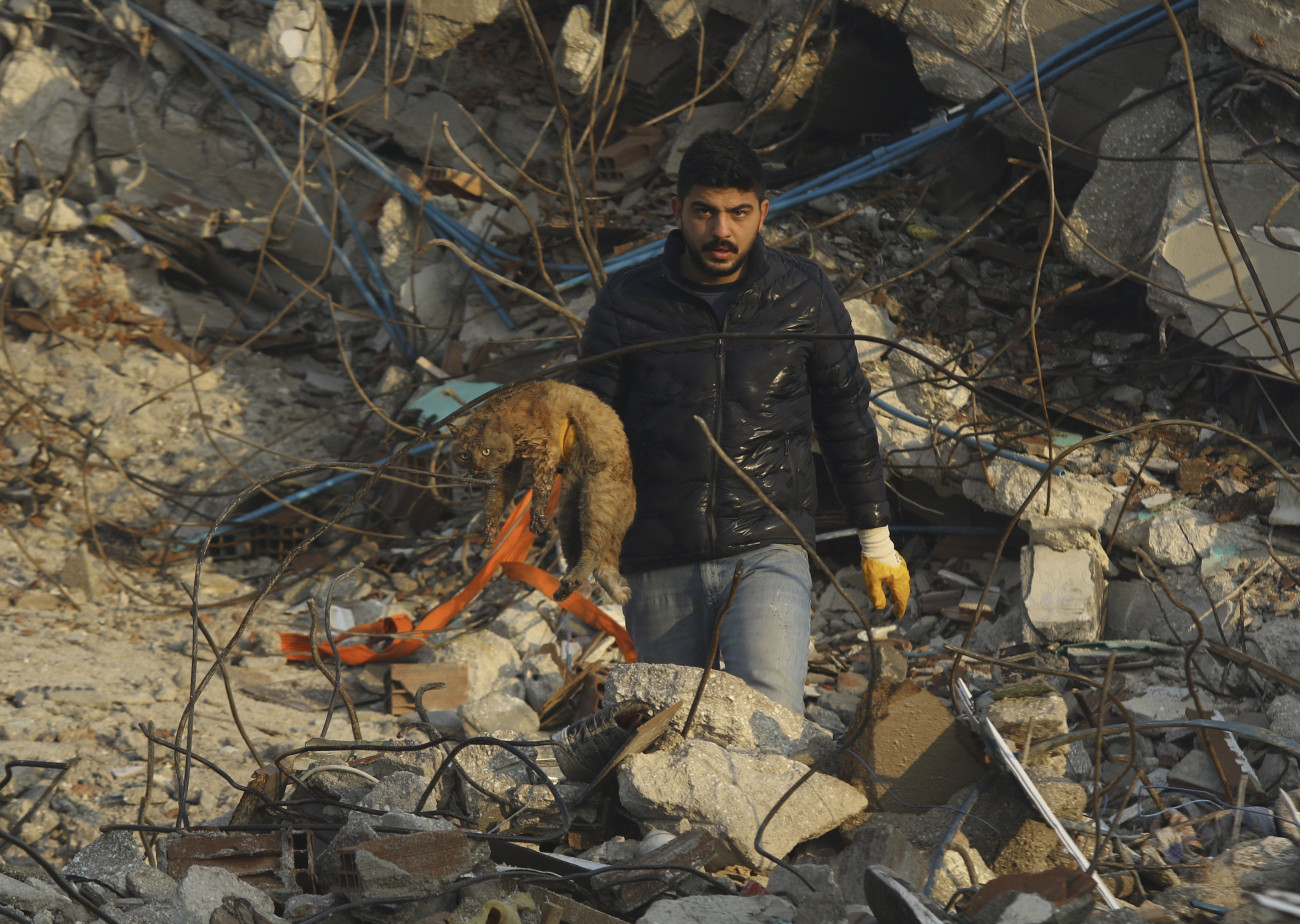 Hatay, 2023. február 9.
Egy férfi a romok alól kimentett, súlyosan legyengült macskával a kezében a földrengés sújtotta dél-törökországi Hatayban 2023. február 9-én. Három nappal korábban több erős földrengés rázta meg Törökország délkeleti és Szíria északi részét, a legnagyobb rengés egyes mérések szerint a 7,8-as erősséget is elérte. A természeti katasztrófa halálos áldozatainak száma meghaladja a 16 ezret.
MTI/AP/IHA