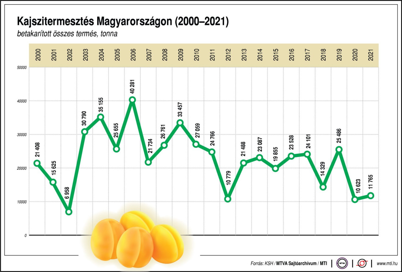 Kajszitermesztés Magyarországon (2000-2021) A betakarított összes termés, tonna; Forrás:MTI