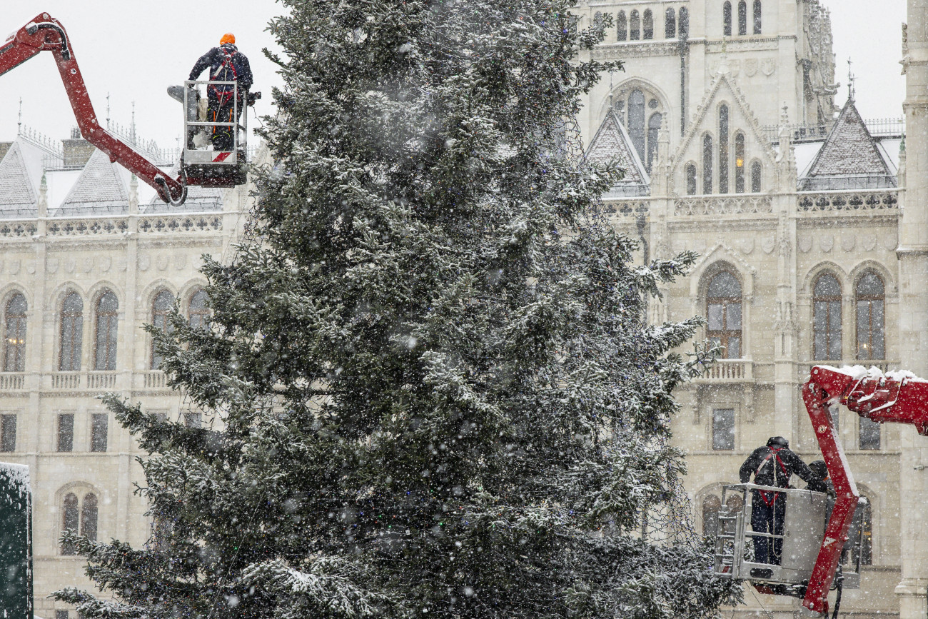 Budapest, 2023. november 30.
Díszítik az ország karácsonyfáját a sűrű hóesésben az Országház előtt 2023. november 30-án. A mintegy 24 méter magas, 80 centiméteres törzsátmérőjű, 5 tonnás fenyő egy hajdúszoboszlói családi ház kertjéből érkezett a Kossuth térre.
MTI/Hegedüs Róbert
