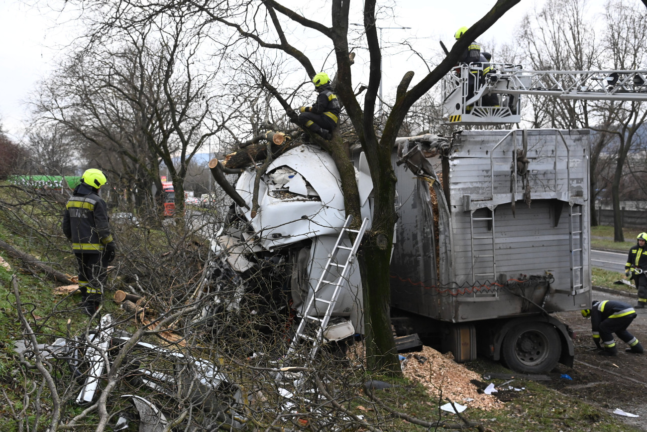 Budapest, 2023. december 15.
Összeroncsolódott kamion a főváros III. kerületében, a Batthyány utcában, a HÉV békásmegyeri állomása közelében 2023. december 15-én. A gépjármű egy fának és két autónak ütközött, majd egy töltésbe csapódott. A kamionba szorult, súlyos sérüléseket szenvedett sofőrt a tűzoltók feszítővágó segítségével szabadították ki, majd a mentők kórházba vitték.
MTI/Mihádák Zoltán
