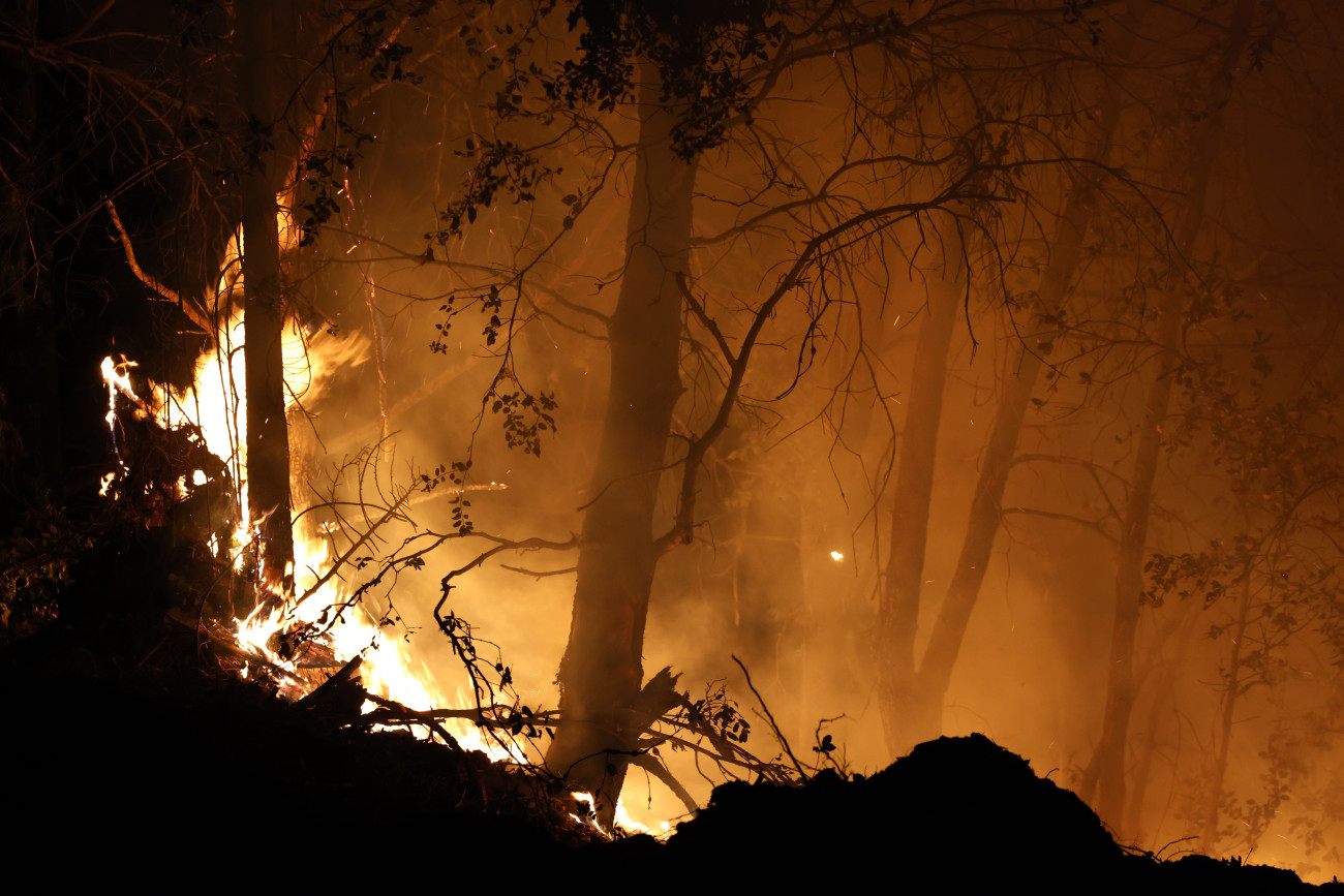 Willow, 2024. július 27.
Erdőtűz pusztít a kaliforniai Butte megyében 2024. július 26-án. Eddig mintegy 600 négyzetkilométernyi növényzet vált a lángok martalékává. Egy 42 éves férfit letartóztattak Kaliforniában, akit azzal vádolnak, hogy egy égő autót a mocsárba lökött, ezzel kirobbantva a mára gigantikussá nőtt erdőtüzet.
MTI/EPA/John G. Mabanglo