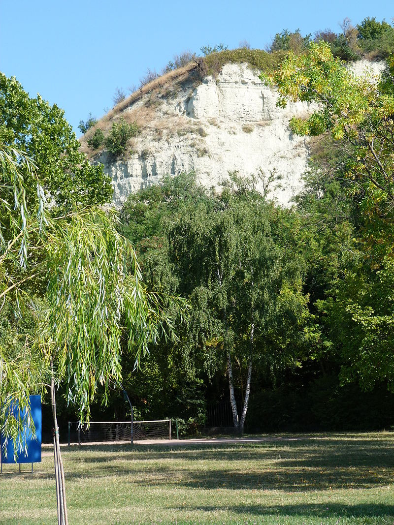 Löszfal Balatonakarattyán. Forrás: Wikipédia