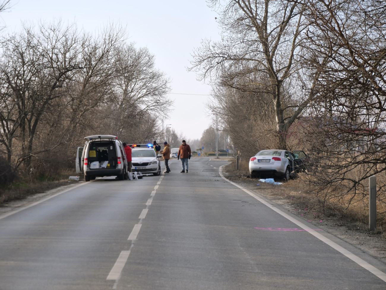 Szigetszentmiklós, 2025. február 22.
Összeroncsolódott személyautó Szigetszentmiklóson, a Csepeli úton 2025. február 22-én. Az autó letért az útról, árokba hajtott és nekiütközött egy fának. A jármű 23 éves sofőrje - egy szolgálaton kívüli rendőr - és egyik, szintén 23 éves utasa a helyszínen meghalt, míg a harmadik, 24 éves utas súlyosan megsérült, őt kórházba szállították.
MTI/Mihádák Zoltán
