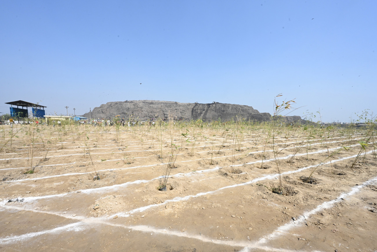 NEW DELHI, INDIA - MARCH 4:  A view of Bhalswa Landfill Site, during the launch Bamboo Plantation Drive at Bhalswa Landfill Site, Rajiv Nagar Bhalswa  on March 4, 2025 in New Delhi, India. Efforts to reclaim landfill sites began two years ago and with the start of the plantation drive, the process of turning these areas into green zones has begun. (Photo by Sonu Mehta/Hindustan Times via Getty Images)