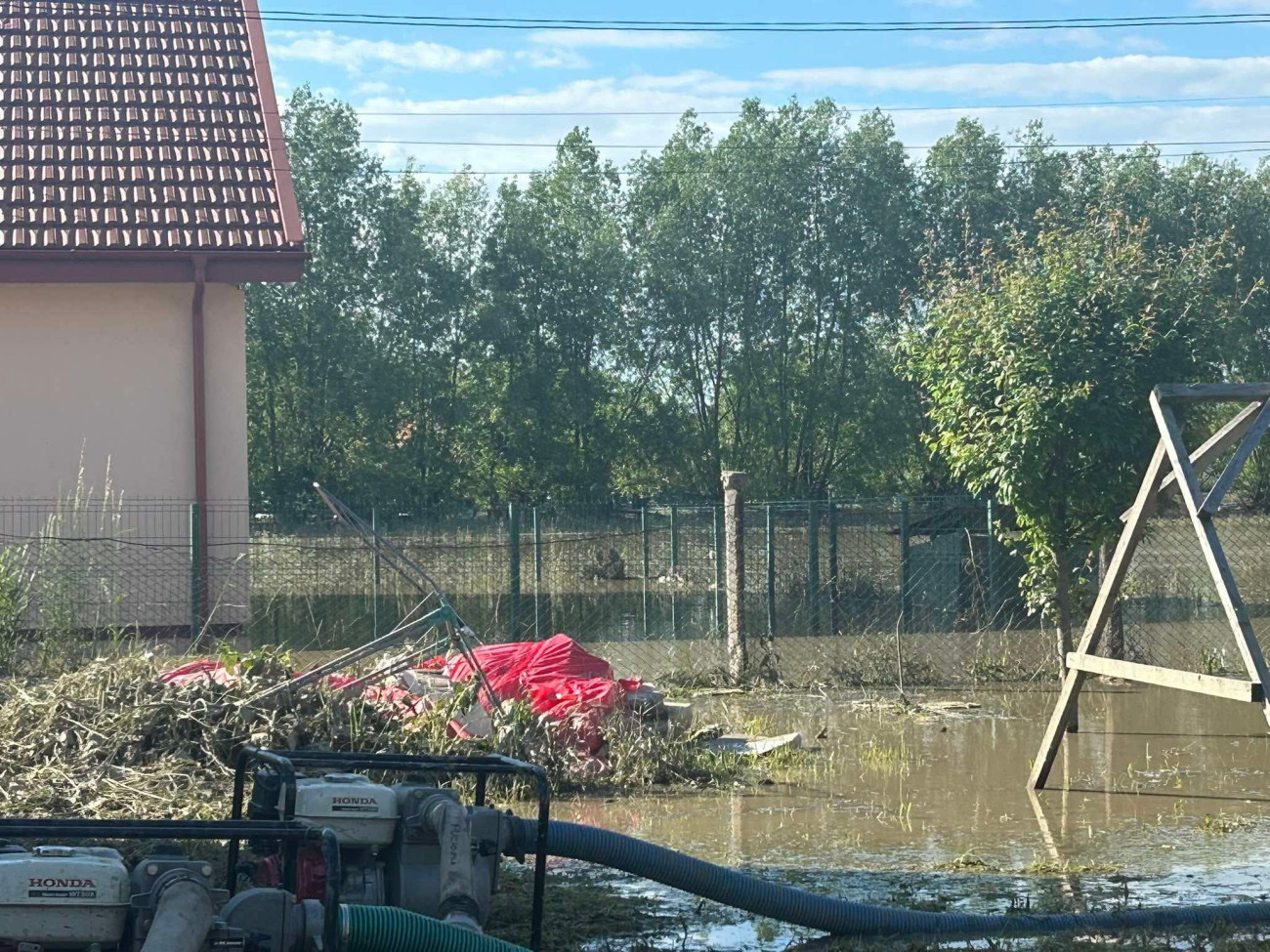 Ökumenikus Segélyszervezet
