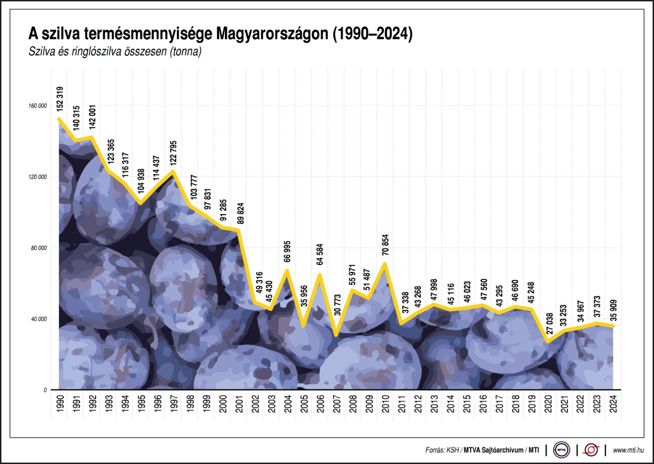 A szilva termésmennyisége Magyarországon (1990-2024)