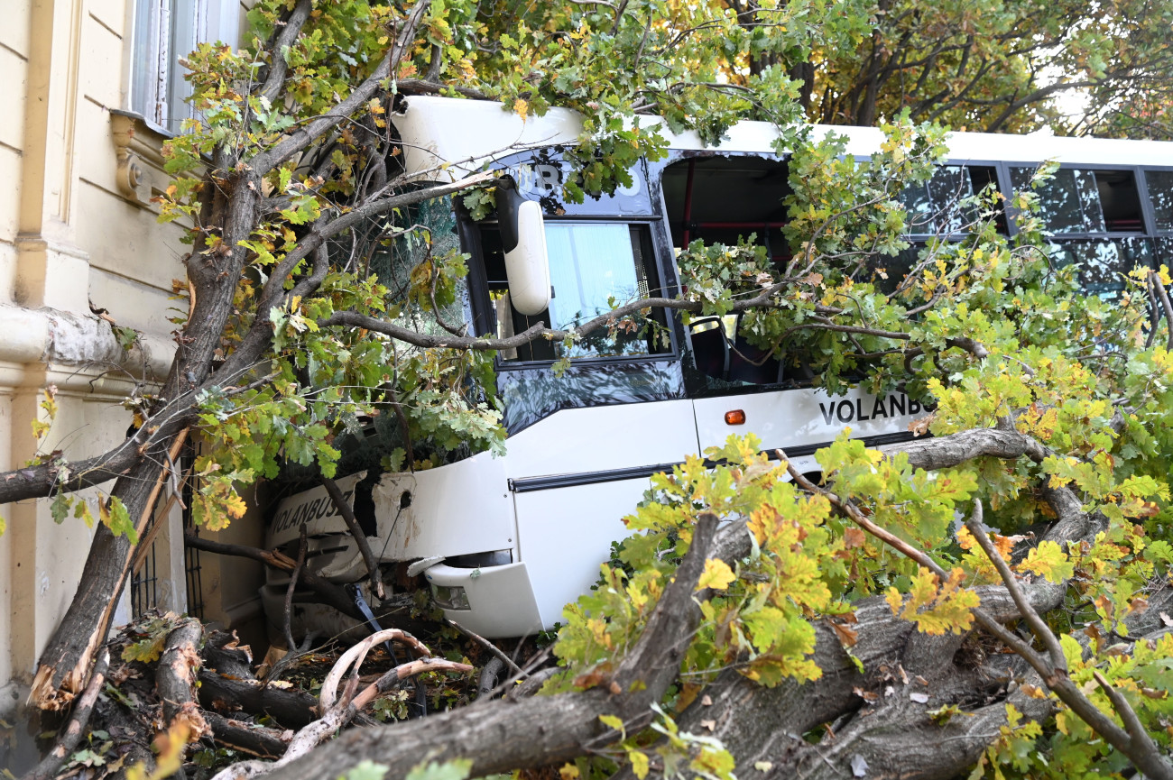 Szolnok, 2025. október 22.
Összeroncsolódott autóbusz a Kossuth Lajos és a Damjanich utca keresztezõdésénél Szolnokon 2025. október 22-én. A Szandaszõlõs felõl Szolnok irányába közlekedõ helyi járat eddig tisztázatlan körülmények között a Szabadság térrõl lehajtott és belecsapódott a Varga Katalin Gimnázium falába. Egy gyalogos és több utas megsérült.
MTI/Mészáros János