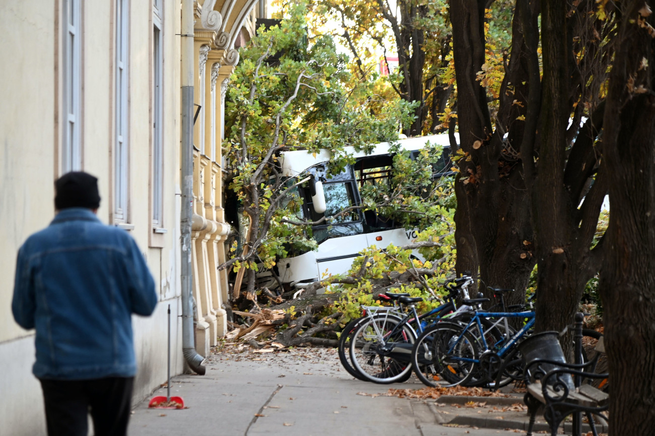 Szolnok, 2025. október 22.
Összeroncsolódott autóbusz a Kossuth Lajos és a Damjanich utca keresztezõdésénél Szolnokon 2025. október 22-én. A Szandaszõlõs felõl Szolnok irányába közlekedõ helyi járat eddig tisztázatlan körülmények között a Szabadság térrõl lehajtott és belecsapódott a Varga Katalin Gimnázium falába. Egy gyalogos és több utas megsérült.
MTI/Mészáros János