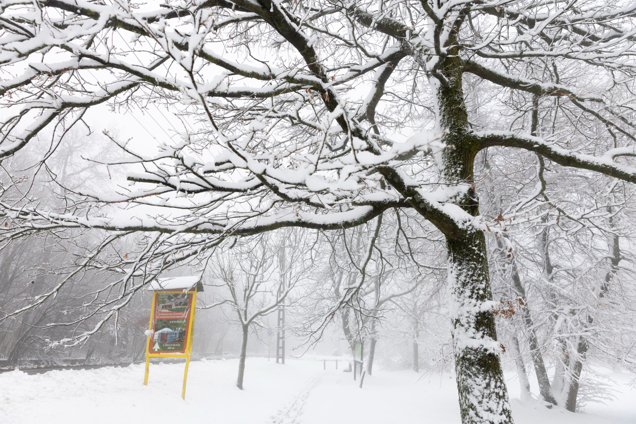 Dobogókõ, 2025. november 21.
Havas táj Dobogókõn 2025. november 21-én. Borult, csapadékos idõ várható a hétvégén, többfelé havazhat is.
MTI/Kocsis Zoltán