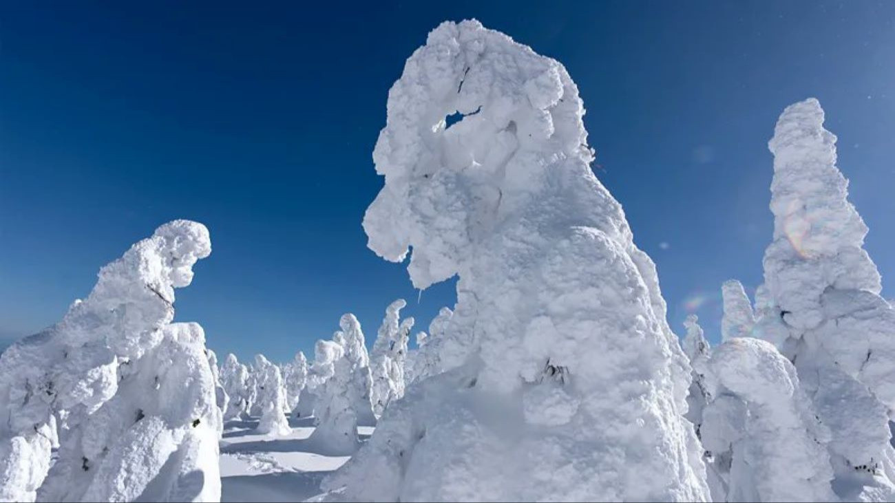 A félelmetes kinézetű dzsüjók, a Zao-hegy hószörnyei. Kép: X / Ved Nayak