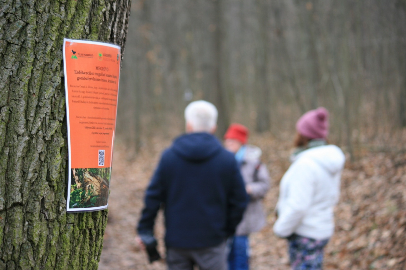 A Pilisi Parkerdő Zrt. Városierdő-fejlesztési Programja újabb budapesti helyszínhez érkezik.