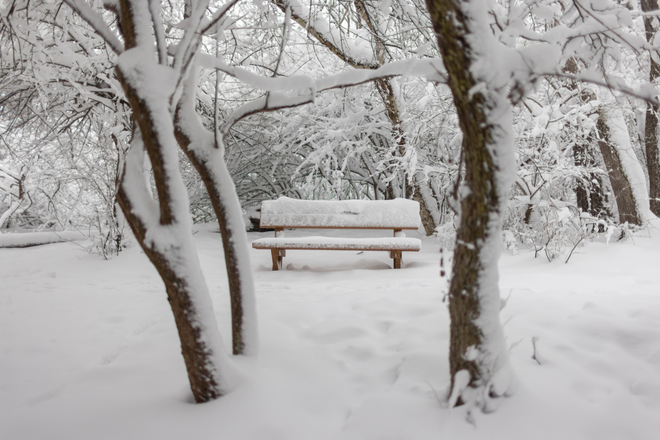 Pécs, 2026. január 5.
Havas pad a Mecsekben Pécs közelében 2026. január 5-én.
MTI/Ruprech Judit