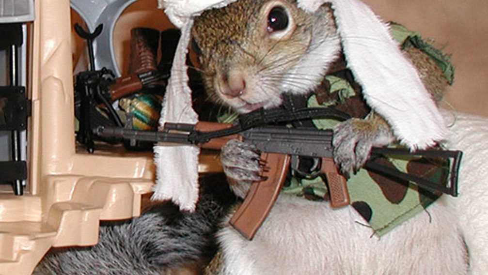 A terroristáknál is nagyobb veszélyt jelentenek a mókusok