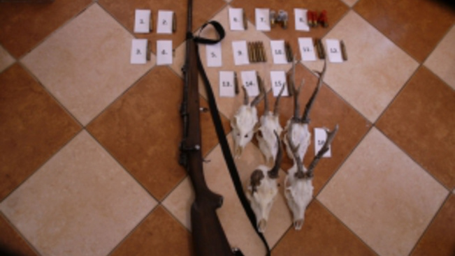 Lecsaptak a kommandósok Pest megyében - hadipuskát, pisztolyt és lőszert találtak - videó