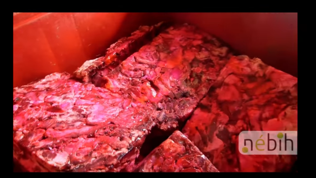 Mit etetnek velünk? Videó a lefoglalt 9 tonna húsról