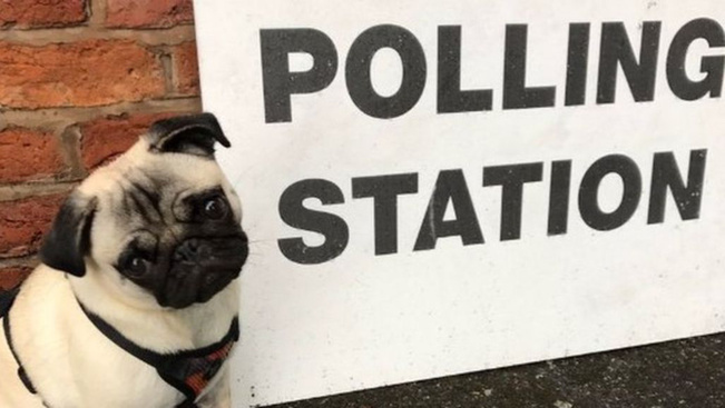 Kutyapártiak és macskabarátok váratlan háborúja a brit választásokon