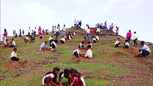 Világrekord: India egy nap alatt 66 millió fát ültetett