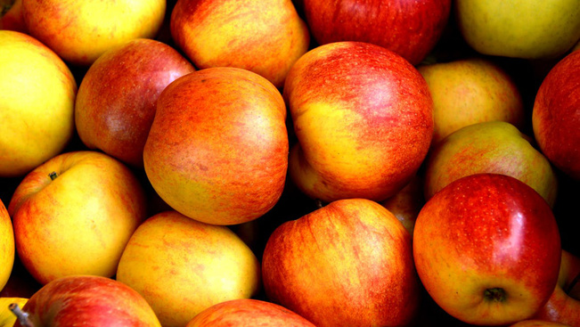 Siralmas a helyzet: pár év alatt elveszíthetjük a szabolcsi almát