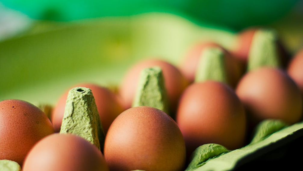 Így kerülhetett növényvédőszer a tojásokba