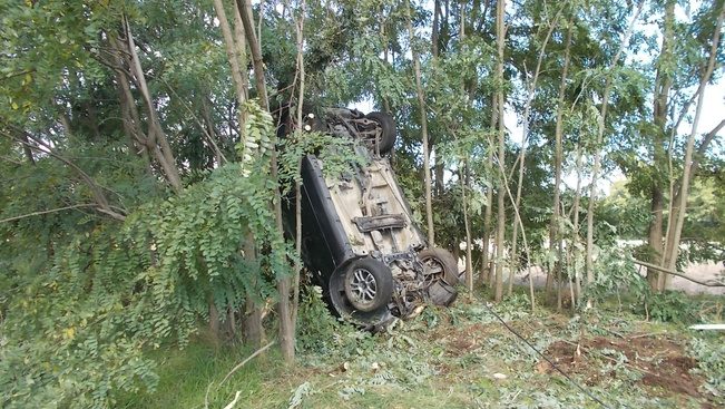 Hihetetlen képek: fennakadt egy fán egy autó Tata közelében
