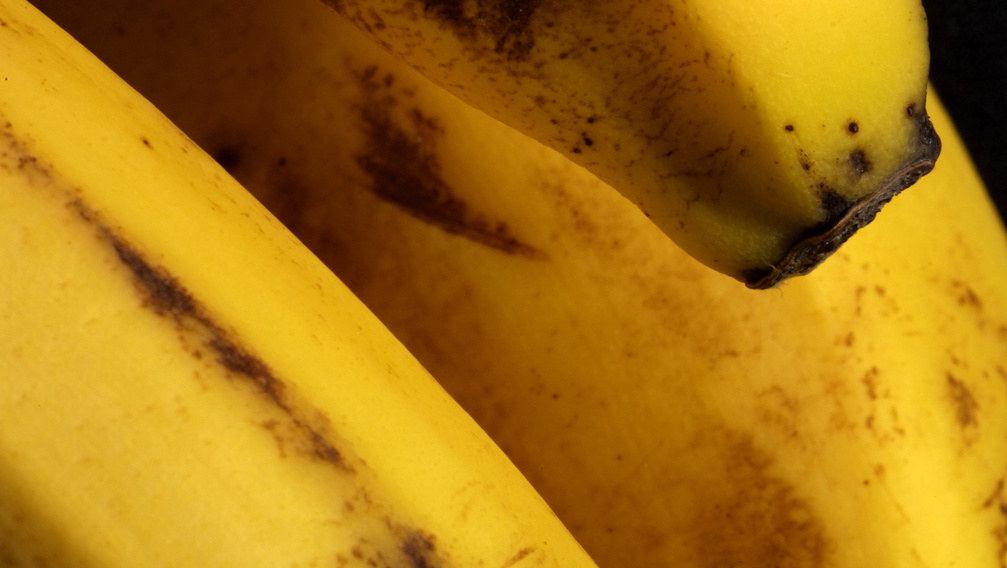 Alattomos betegség veszélyezteti a banánt