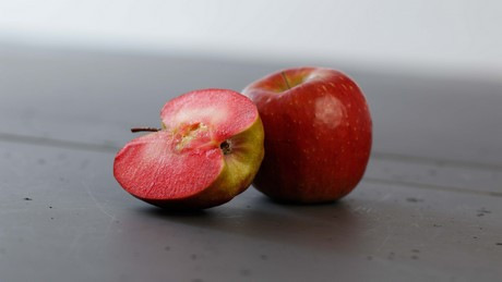 Különleges almától ájultak el a vásárlók és a kereskedők