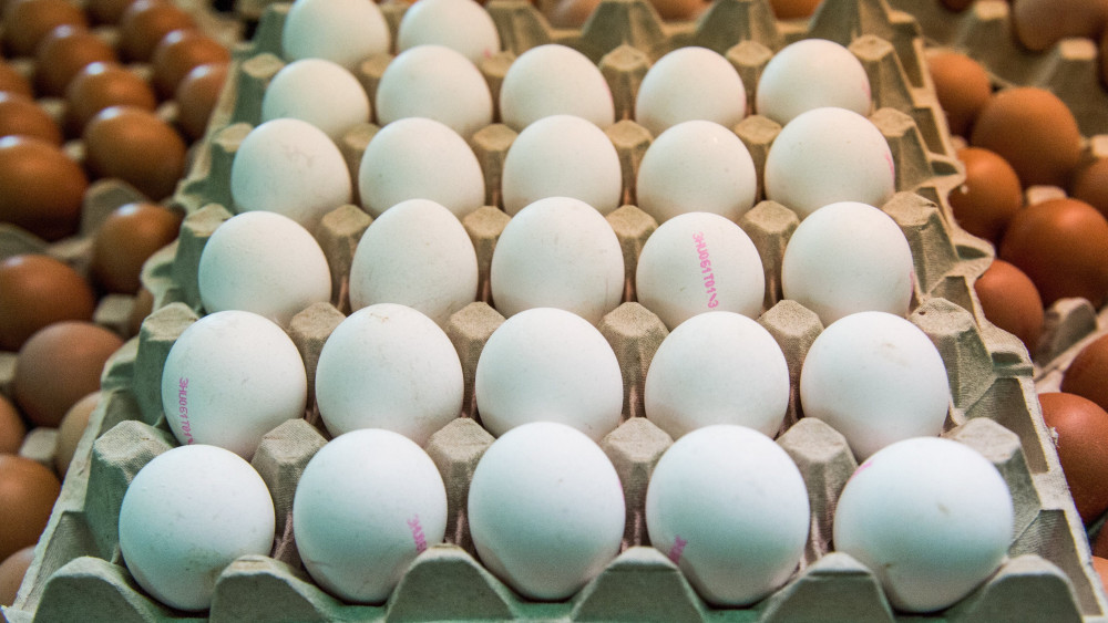 Tojások egy árus standján Budapesten, a Fehérvári úti vásárcsarnokban 2017. január 2-án. A baromfihús és az étkezési tojás általános forgalmi adója (áfa) 27 százalékról, a friss tejé 18 százalékról 5 százalékra csökkent január 1-jén.