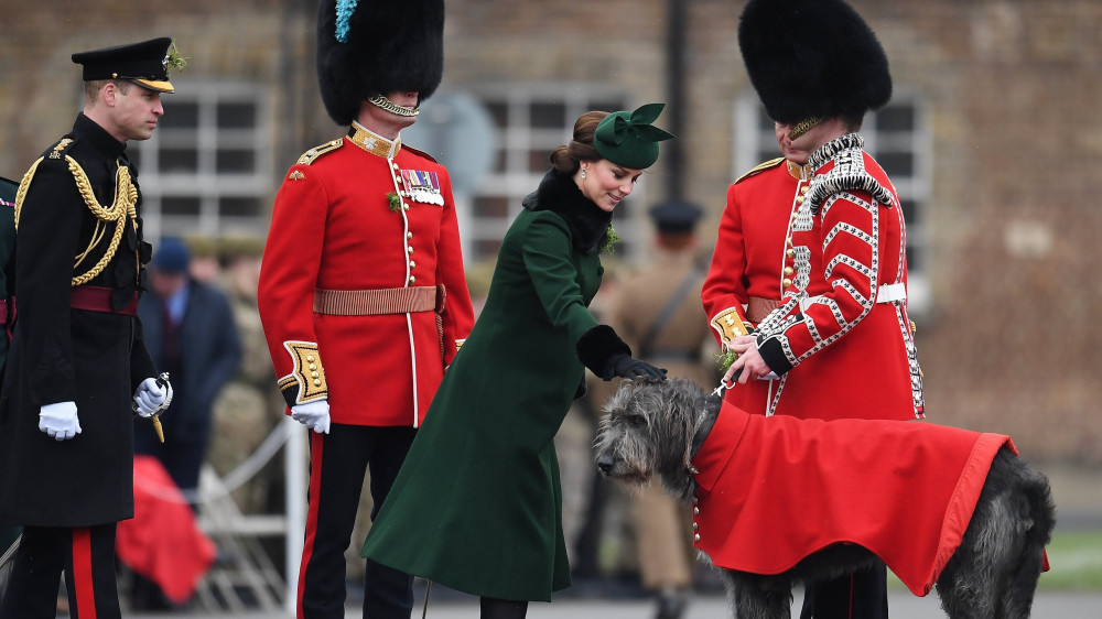 London, 2018. március 17. Katalin cambridge-i hercegnő, Vilmos cambridge-i hercegnek, a brit trónörökös elsőszülött fiának (b2) a várandós felesége lóherecsokrot tűz egy Domhnall nevű ír farkaskutya, az ír gárda kabalaállata felöltőjére Szent Patrik napja alkalmából Londonban 2018. március 17-én. Az írek védőszentjének ünnepén, március 17-én Szent Patrik térítő püspök 461-ben bekövetkezett haláláról emlékeznek meg. (MTI/EPA/Andy Rain)