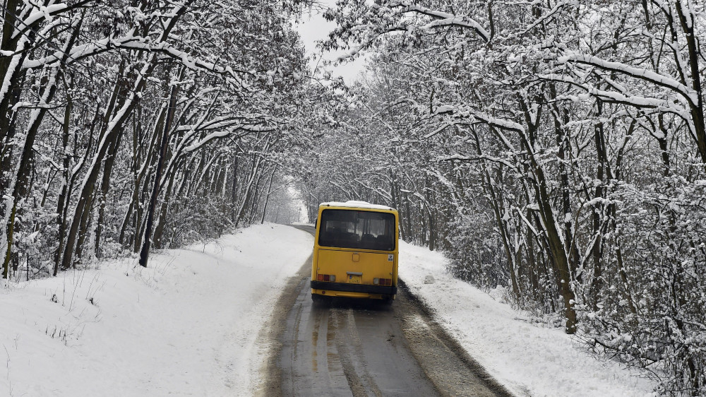 Egy menetrend szerint közlekedő Ikarus 266 típusú autóbusz halad Pusztaradvány határában 2017. január 14-én.