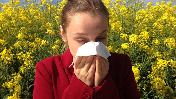 Pollenhorror: durva szezonra számíthatnak az allergiások