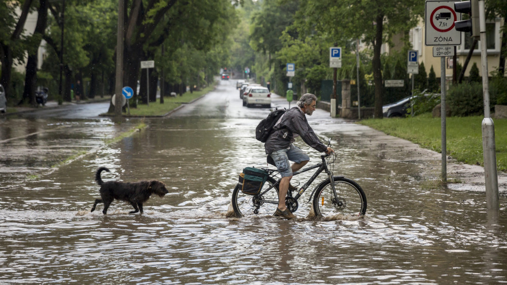 Egy kerékpáros kutyájával a II. kerületben, a vízzel borított Gábor Áron utcán 2018. május 12-én.