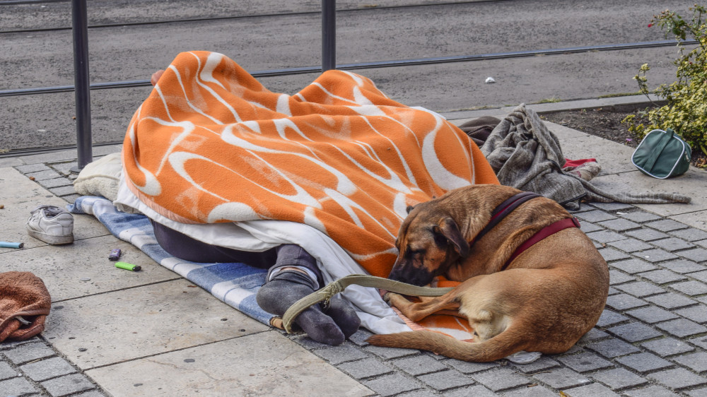 A járdán, takaró alatt alvó hajléktalan pár lábánál kutyájuk pihen a főváros VII. kerületében, a Madách téren. MTVA/Bizományosi: Róka László  *************************** Kedves Felhasználó!