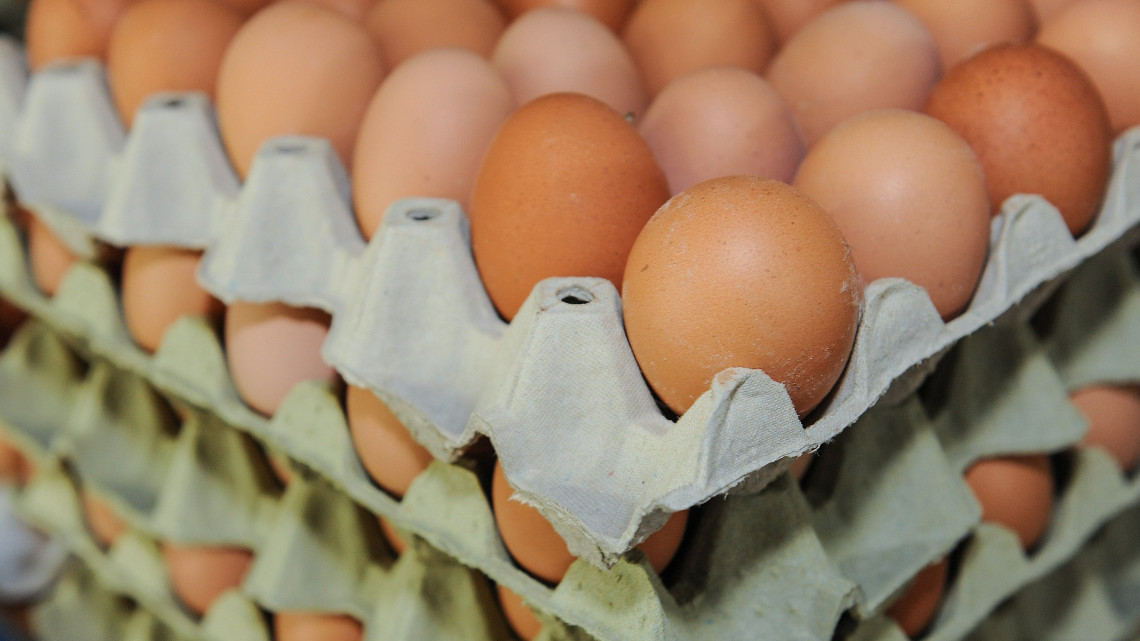 Szállításhoz előkészített rekeszes tojások. A Földesi Rákóczi Mezőgazdasági Kft. baromfi ágazatában évente 44 millió darab tojást állítanak elő, amelynek 50 százalékát áruházláncokban, a fennmaradó hányadot pedig piacokon, boltokban és cukrászdák számára értékesítik S, M, L, XL méret szerint válogatva. MTVA/Bizományosi: Oláh Tibor  *************************** Kedves Felhasználó!