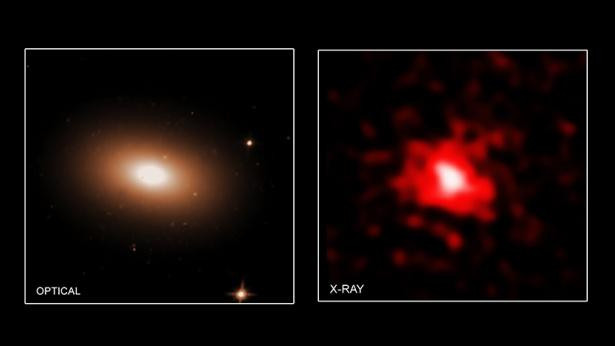 Az MRK 1216 „vörös rög” galaxis képe az optikai (Hubble-űrtávcső) és a röntgen (Chandra-röntgentávcső) tartományban (ELTE/röntgen: NASA/CXC/MTA-Eötvös University/N. Werner et al.; optikai: NASA/STScI)