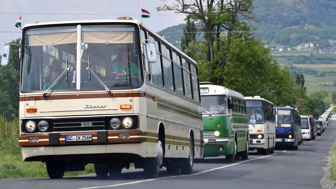 Ikarus autóbuszok Hegymagas és Szigliget között a tapolcai nemzetközi márkatalálkozón 2018. május 12-én.