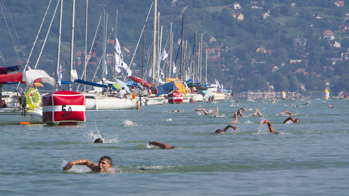 A 34. Balaton-átúszás résztvevői a célhoz érnek Balatonboglárnál 2016. július 2-án. Az úszók 5,2 kilométeres távot teljesítettek Révfülöp és Balatonboglár között.