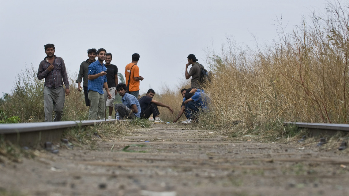 Szabadka külvárosának egy erdős részén húzzák meg magukat azok a menekültek, akik itt próbálnak átjutni a schengeni határokon. A csak férfiakból álló rögtönzött tábor tagjai közül többen kíséreltek meg átjutni a zöldhatáron Magyarországra, de visszatoloncolták őket. Ezt támasztják alá a közelmúltban a déli határszélen elfogott illegális határátlépők számának növekedését mutató rendőrségi statisztikák is. A képeken főként pakisztáni, illetve afgán és indiai férfiak láthatók, akik közül többen hónapok óta élnek Szabadka környékén.