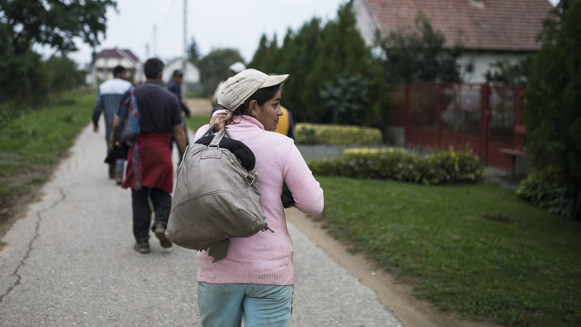 Romániából érkezett mezőgazdasági idénymunkások mennek haza bérelt házaikba a dohánytörés után a Szabolcs-Szatmár-Bereg megyei Ófehértón 2015. október 6-án. A befejezéséhez közeledő dohányszezonban Európa egyik legnagyobb dohánytermesztő településén húsz-huszonöt romániai vendégmunkás dolgozott folyamatosan a Fejértó Szövetkezetnél, mert a hazai munkaerőpiacról nem sikerült a napi öt-kilencezer forintos munkabérért idénymunkást találniuk.