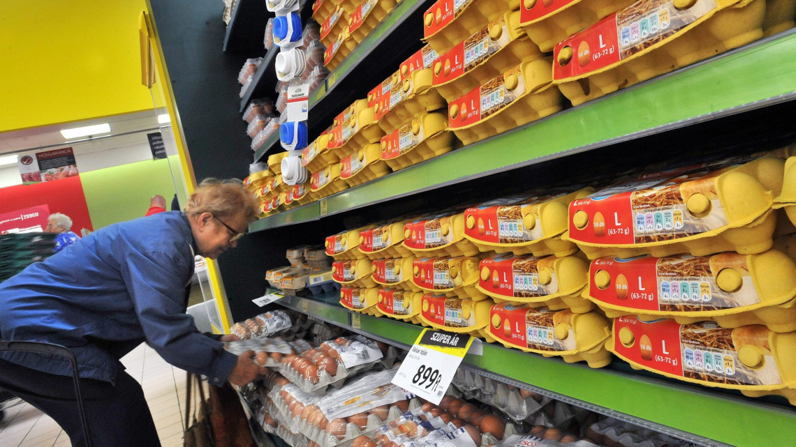 Egy vásárló a tojások közül válogat Váci úti Tesco Extra áruházban 2012. október 5-én.