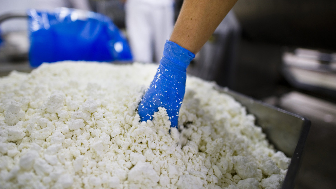 Minőségellenőr vesz mintát a Túró Rudi gyártásához használt nyers túróból a holland tejipari cég, a Friesland Campina mátészalkai üzemében. Az itt készülő Túró Rudiból évente több mint kétszázmillió darab fogy hazánkban. Módosító indítványt nyújtottak be a chipsadóhoz, amely alapján a magas minőségű tejdesszerteket és tejes italféleségeket kivonnák az adófizetési kötelezettség alól. A népegészségügyi termékadó (chipsadó) törvényből kikerülnek azok a termékek, amelyek legalább 50 százalékban tejet tartalmaznak, így mentesül például a Túró Rudi és a kakaós tej.